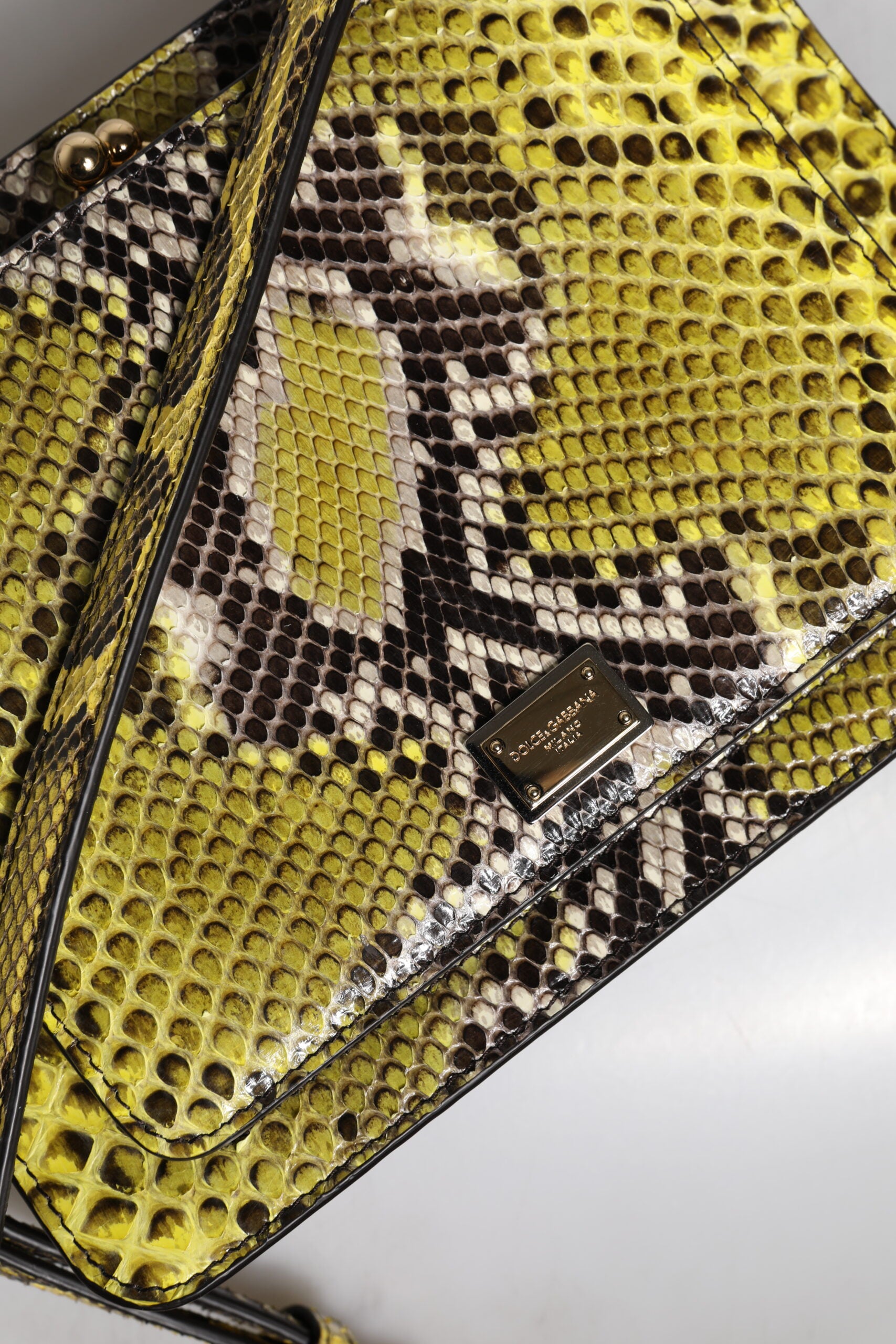 Grüne Exotenleder DG Plaque Crossbody Clutch Tasche